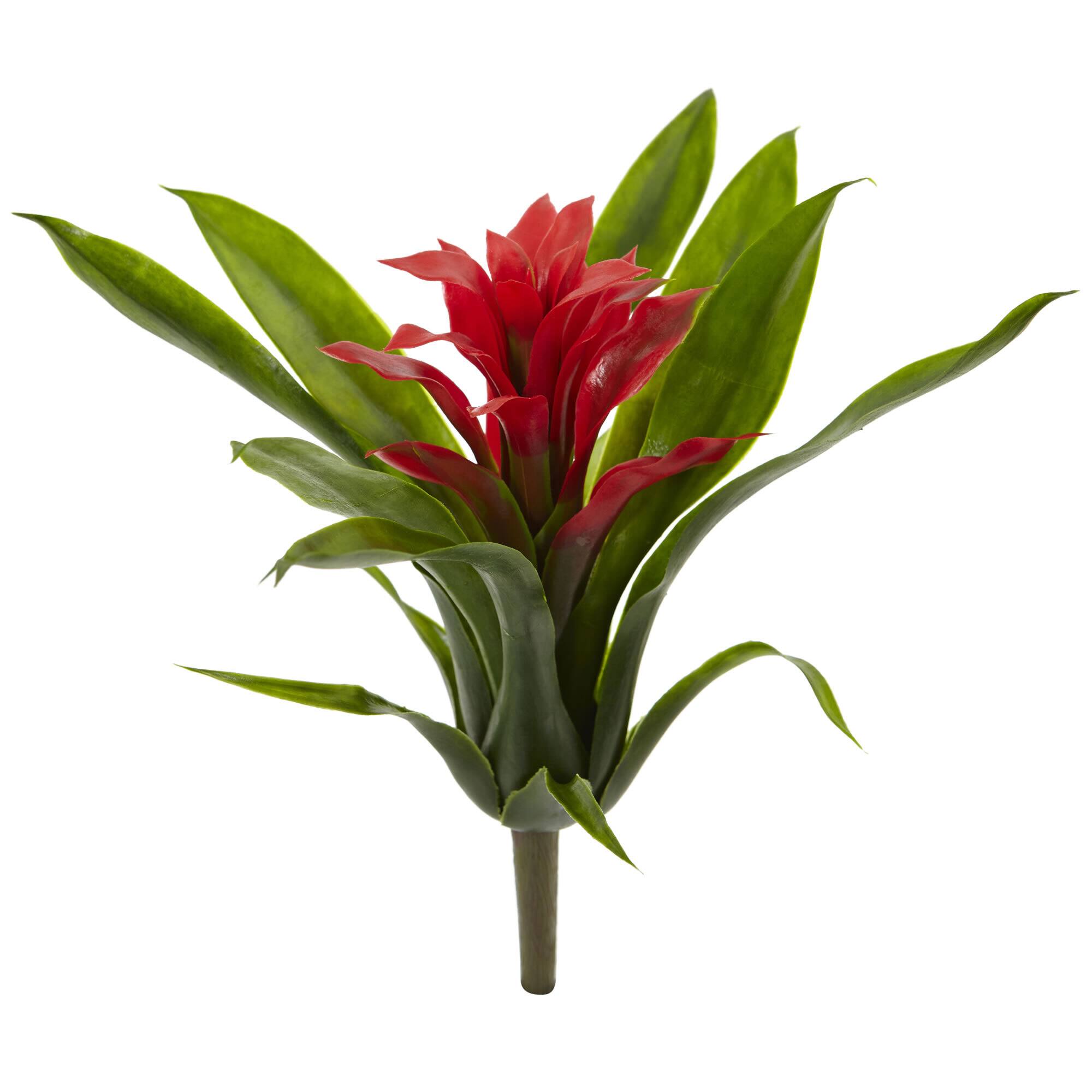 Red Bromeliad Flower Stem, 6ct.